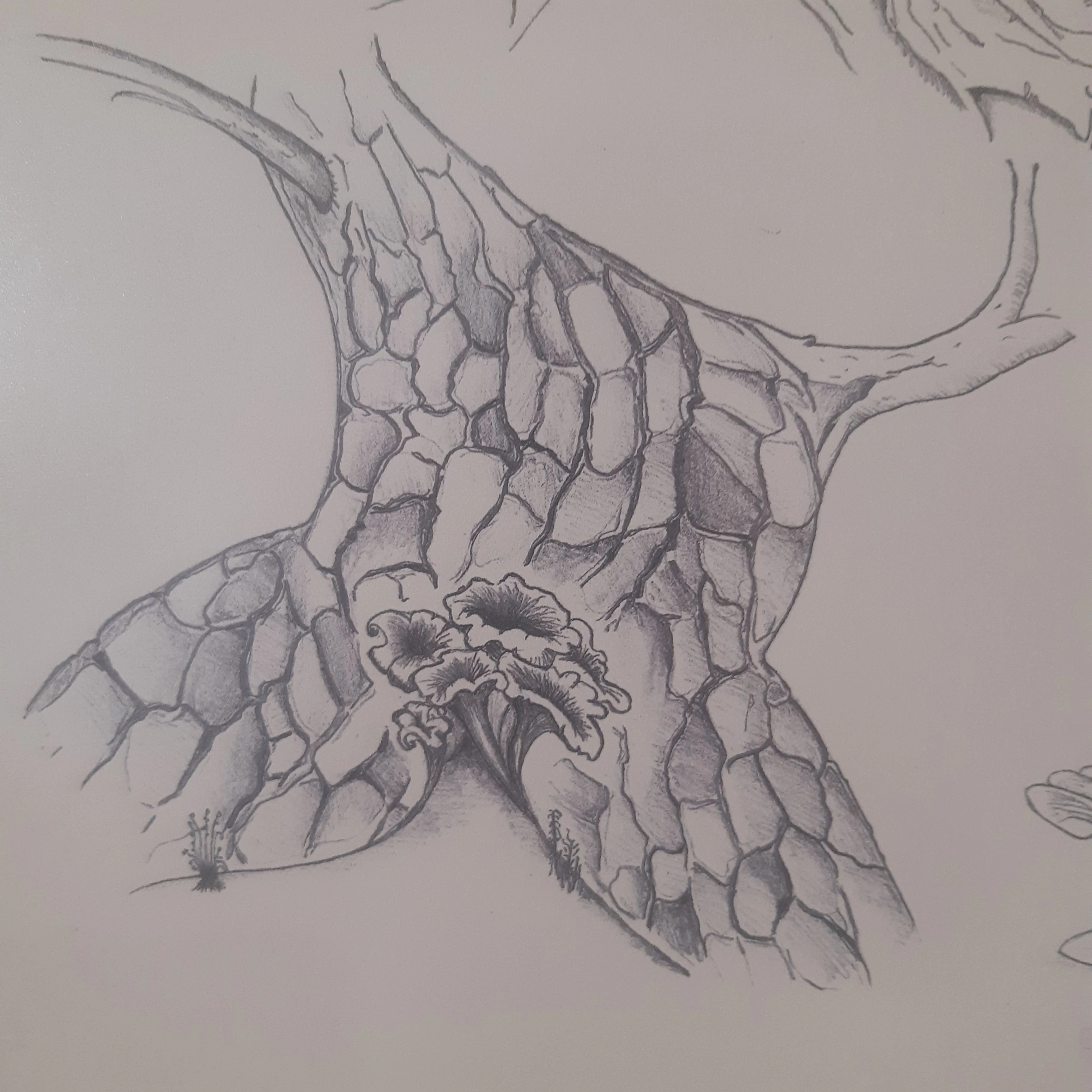 Oeuvre 3