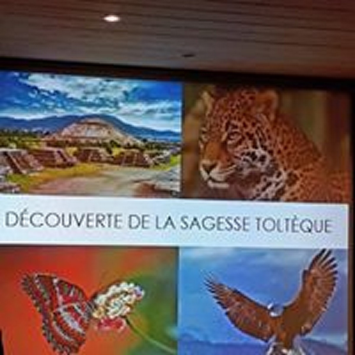 Conférence du 2 mai : La sagesse toltèque