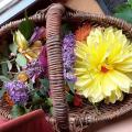 Fleurs