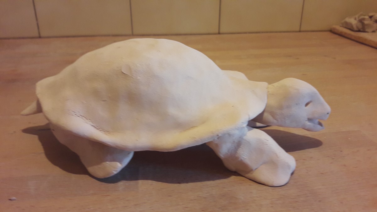 la tortue de M.LAFAY 