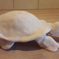 la tortue de M.LAFAY 