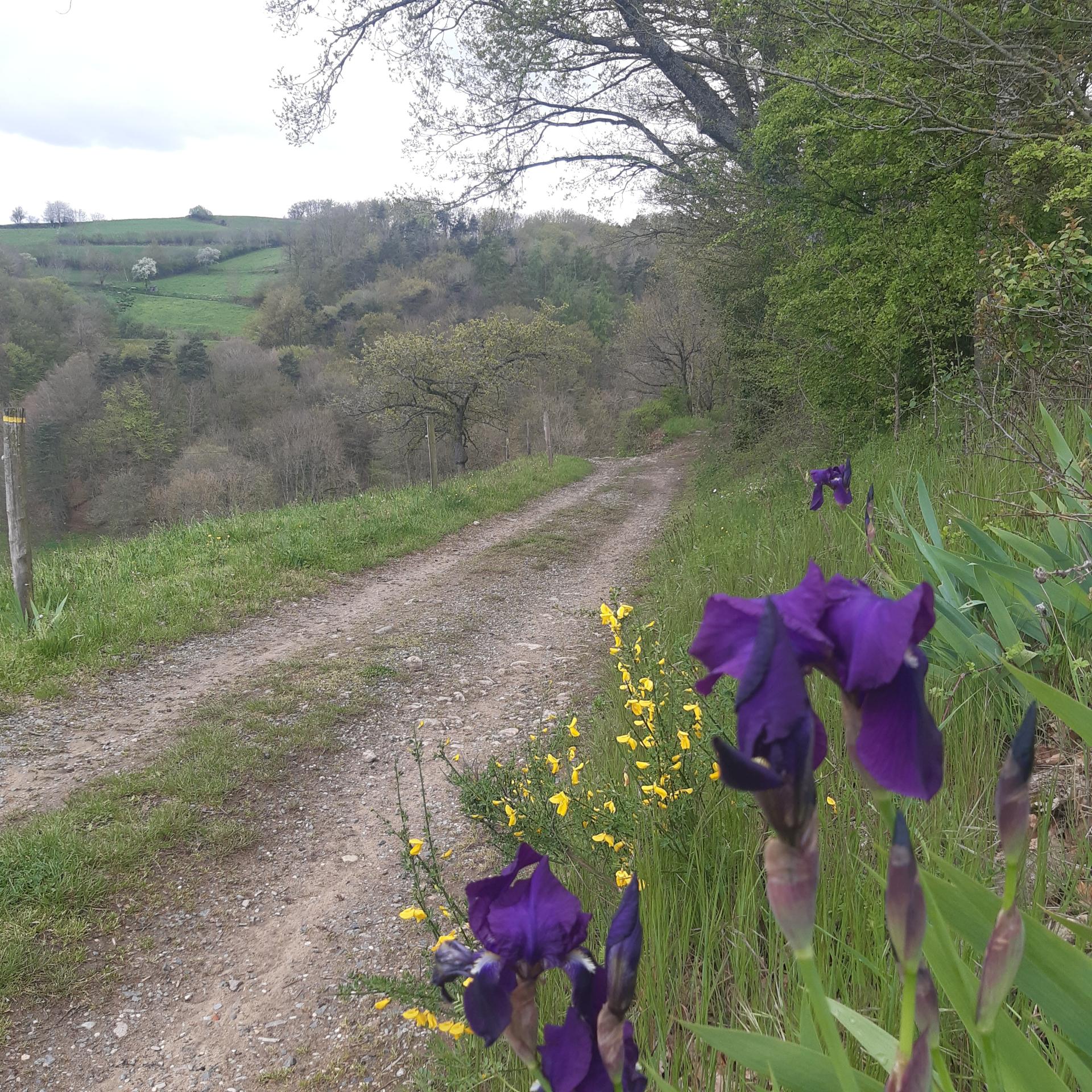 Chemin ardaison