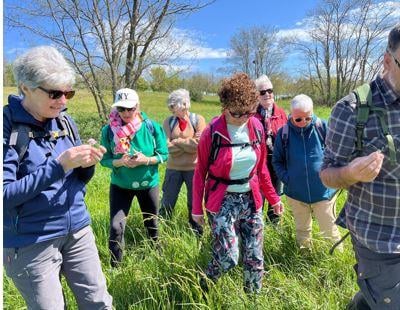 Sortie nature sensorielle
